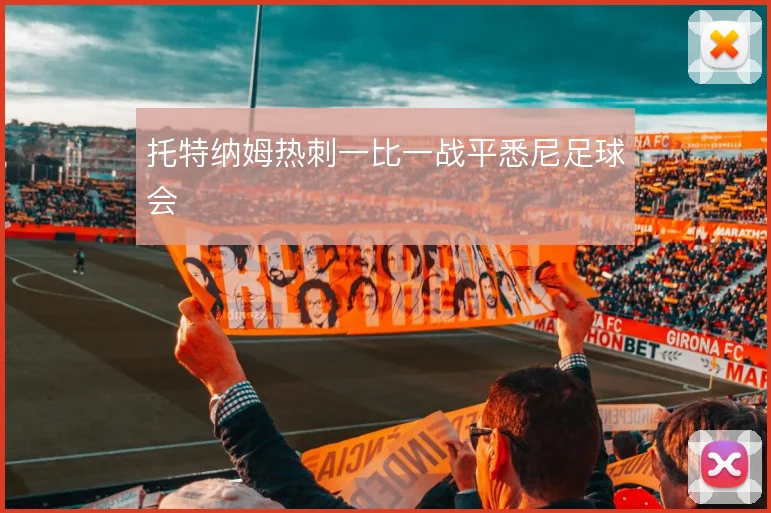 托特纳姆热刺一比一战平悉尼足球会