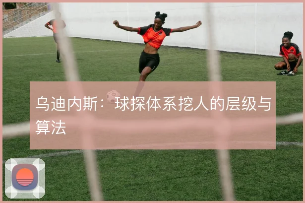 乌迪内斯：球探体系挖人的层级与算法