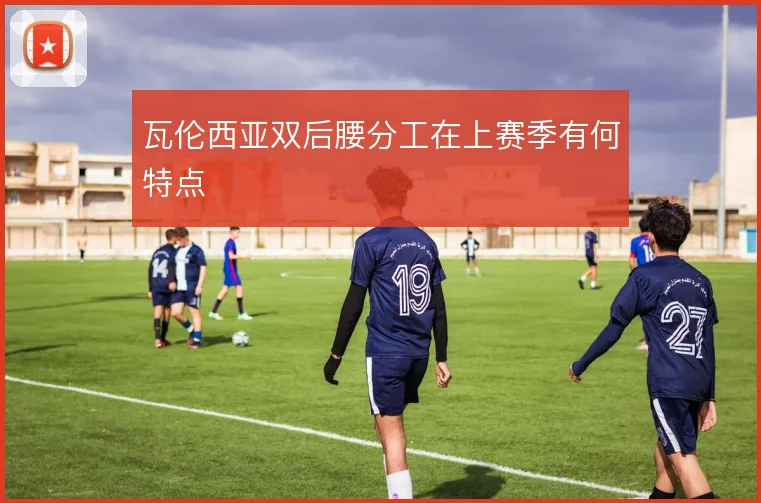瓦伦西亚双后腰分工在上赛季有何特点