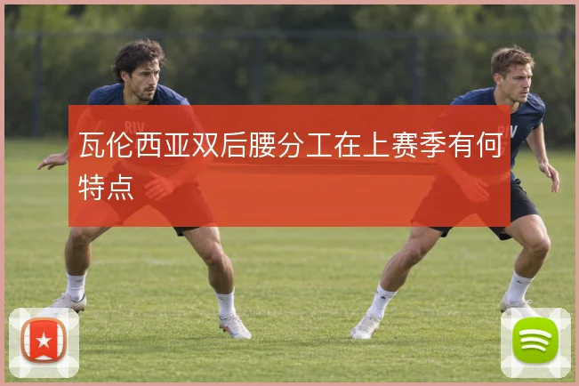 瓦伦西亚双后腰分工在上赛季有何特点